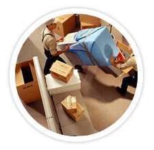 Commercial Gainesville Movers